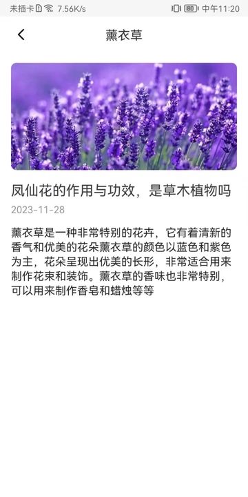 花卉識別圖鑒