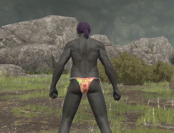 《艾爾登法環》男性與女性角色染色內衣MOD