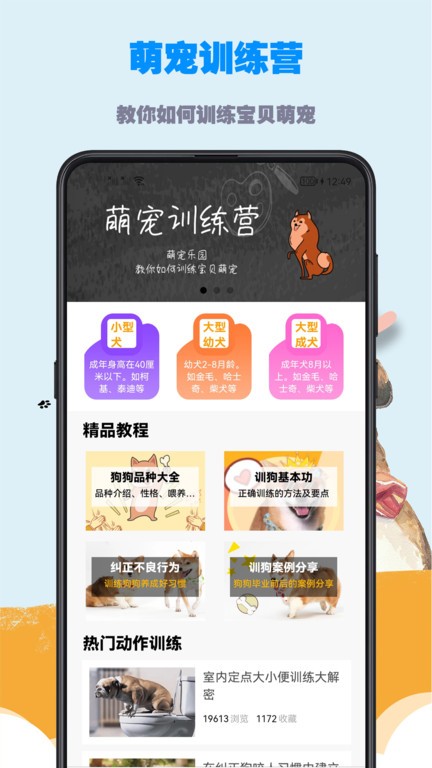 訓狗教程大全