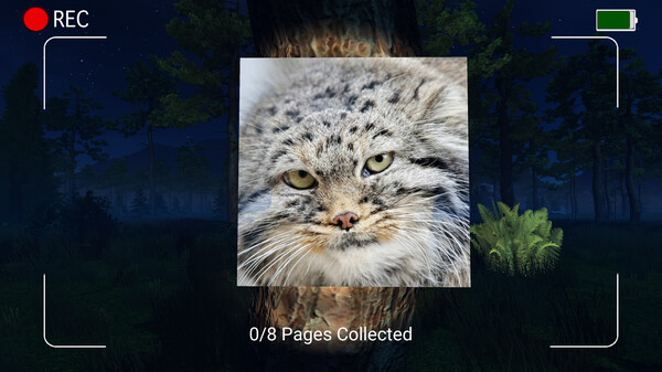 黑夜中的弗洛帕