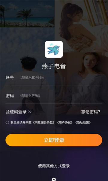 燕子電音