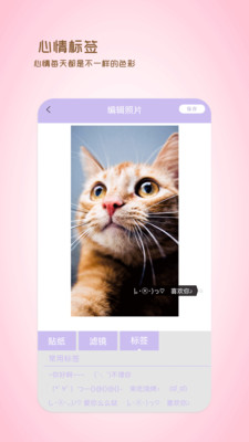 全能美日相機