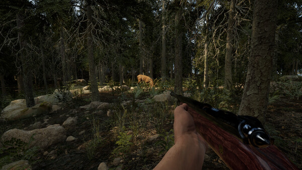 常青：山區(qū)生活模擬器