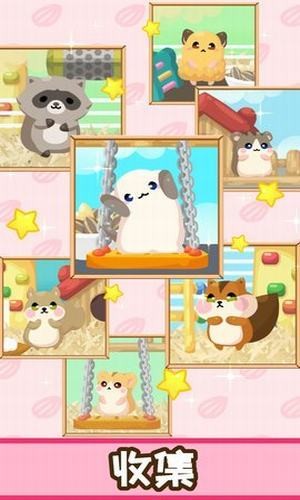 倉(cāng)鼠歡樂屋