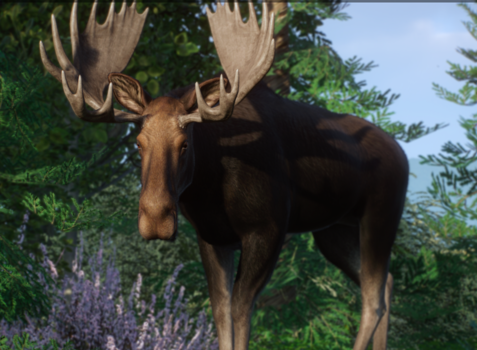 《動(dòng)物園之星》增添歐亞駝鹿作為新物種MOD