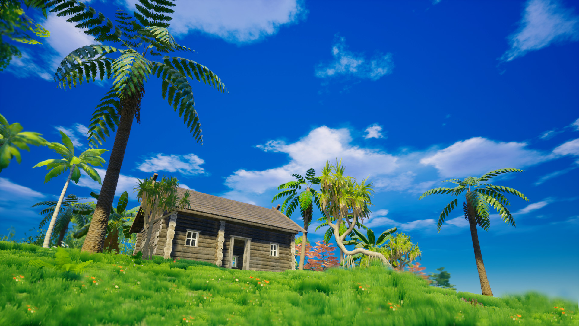 我的海島中文版