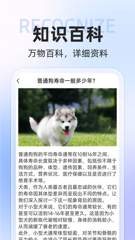 AI動物世界