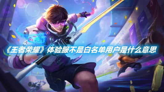 《王者榮耀》體驗服不是白名單用戶是什么意思