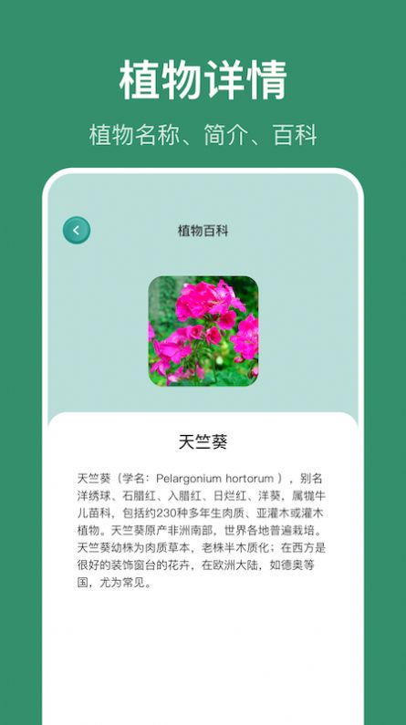 識花草