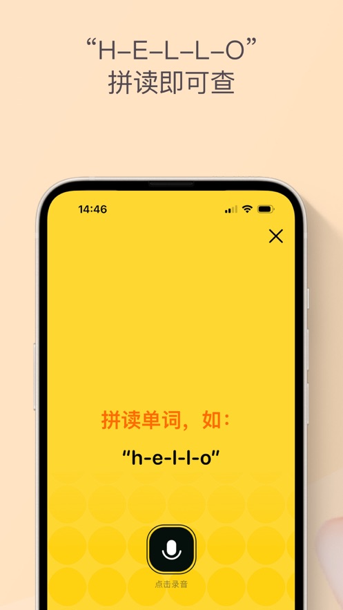 小鹿查單詞