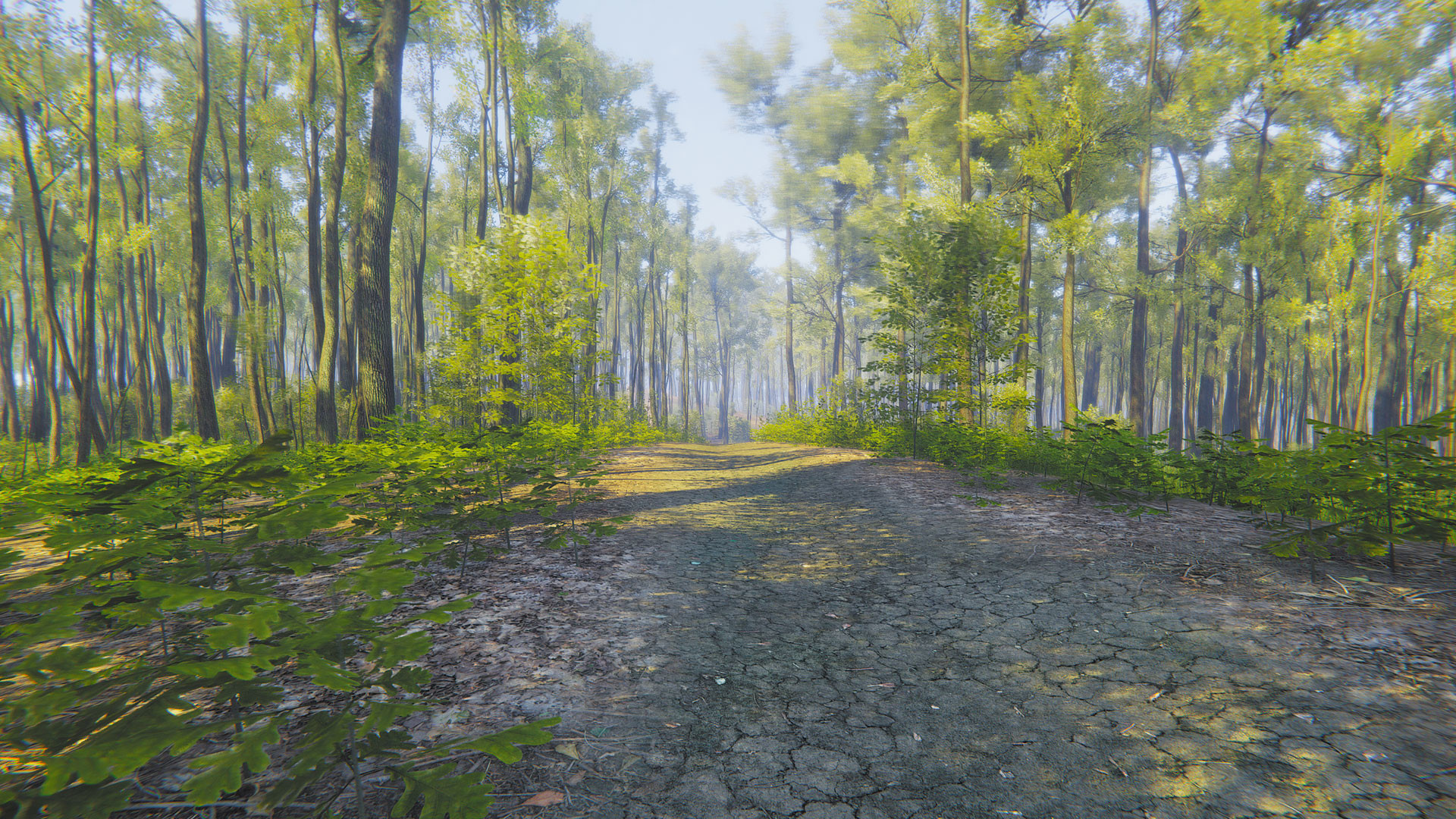 正念模擬器：ASMR冥想游戲