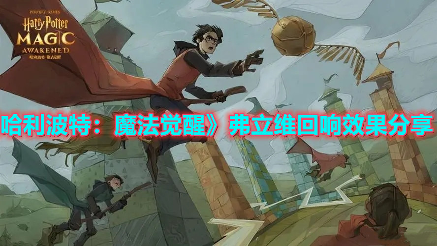 《哈利波特：魔法覺(jué)醒》弗立維回響效果分享