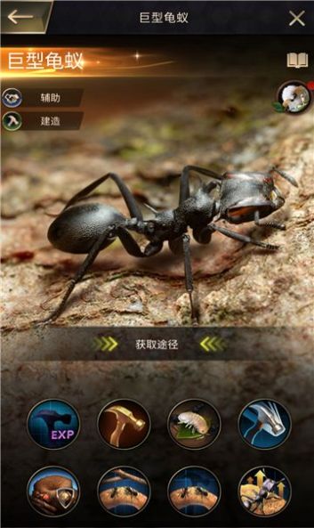 超能蟻團