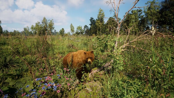 俄羅斯靈魂模擬器