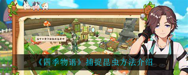 《四季物語》昆蟲如何捕捉