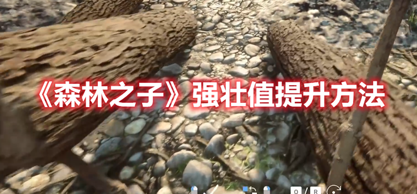 《森林之子》強壯值提升方法