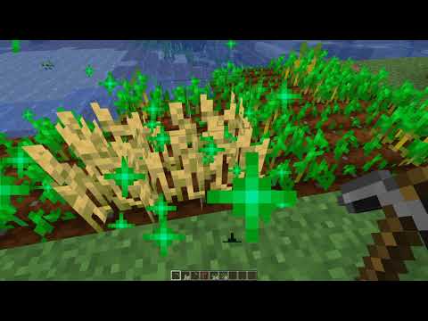 《我的世界》1.19.2盯到它們熟為止！MOD