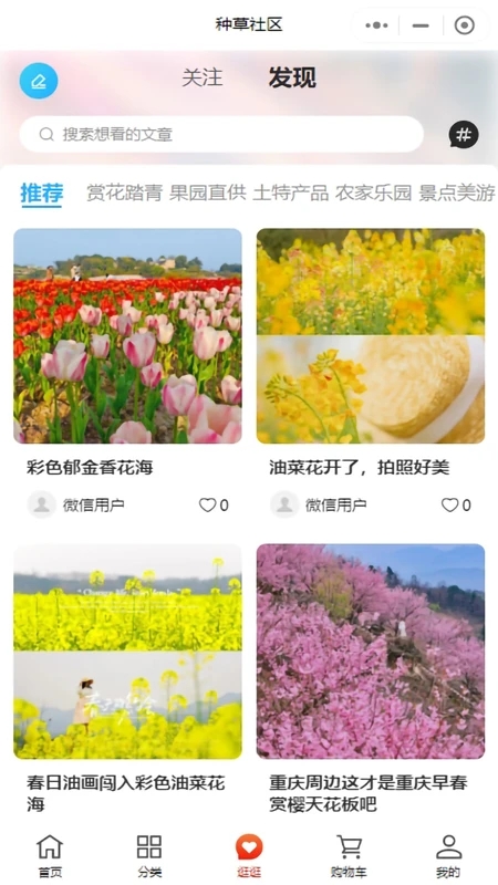 鄉(xiāng)見美