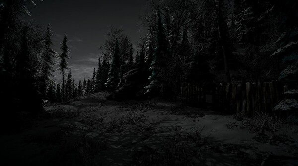 我祖父母的圣誕之謎