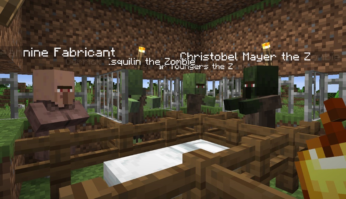《我的世界》1.17.1NPC外觀包MOD