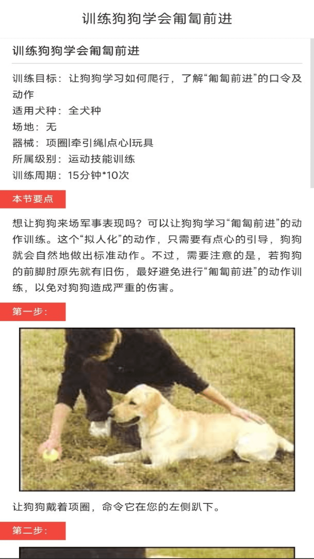 動物對話翻譯器