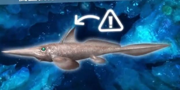 水族館競技場