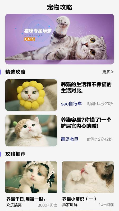 可愛喵喵壁紙大全