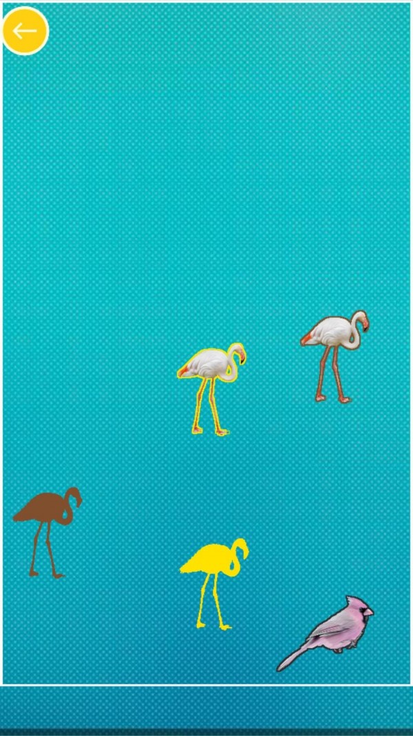兒童學(xué)動物和顏色