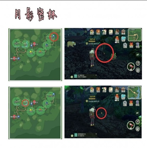 小森生活甲蟲怎么獲得2