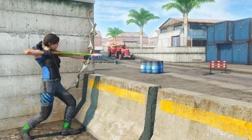 弓箭手刺客射擊