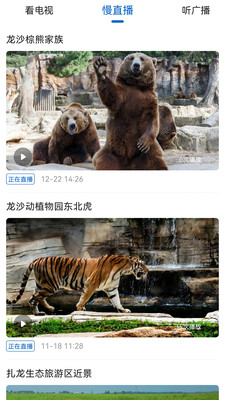 看齊新聞
