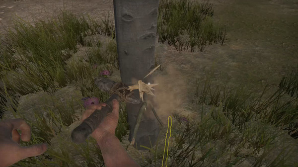 失蹤的飛機：生存