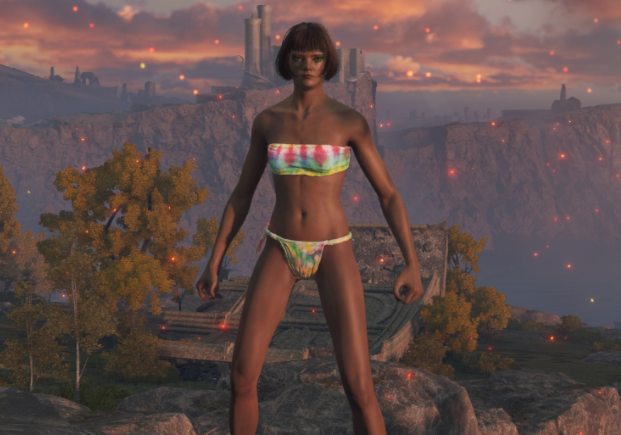 《艾爾登法環》男性與女性角色染色內衣MOD
