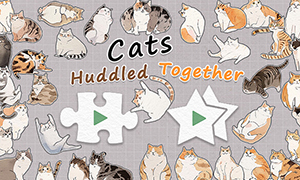 擠在一起的貓貓