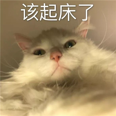 熱門微信表情包