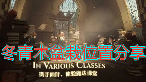 《哈利波特：魔法覺醒》冬青木盆栽位置分享