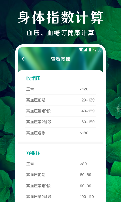 薄荷廣場舞