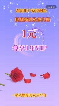 愛了見見