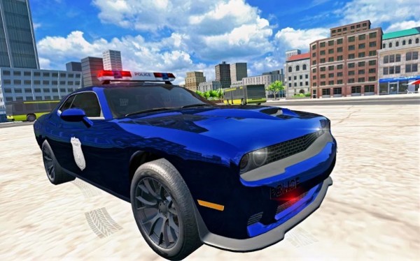 真正的道奇肌肉警車駕駛