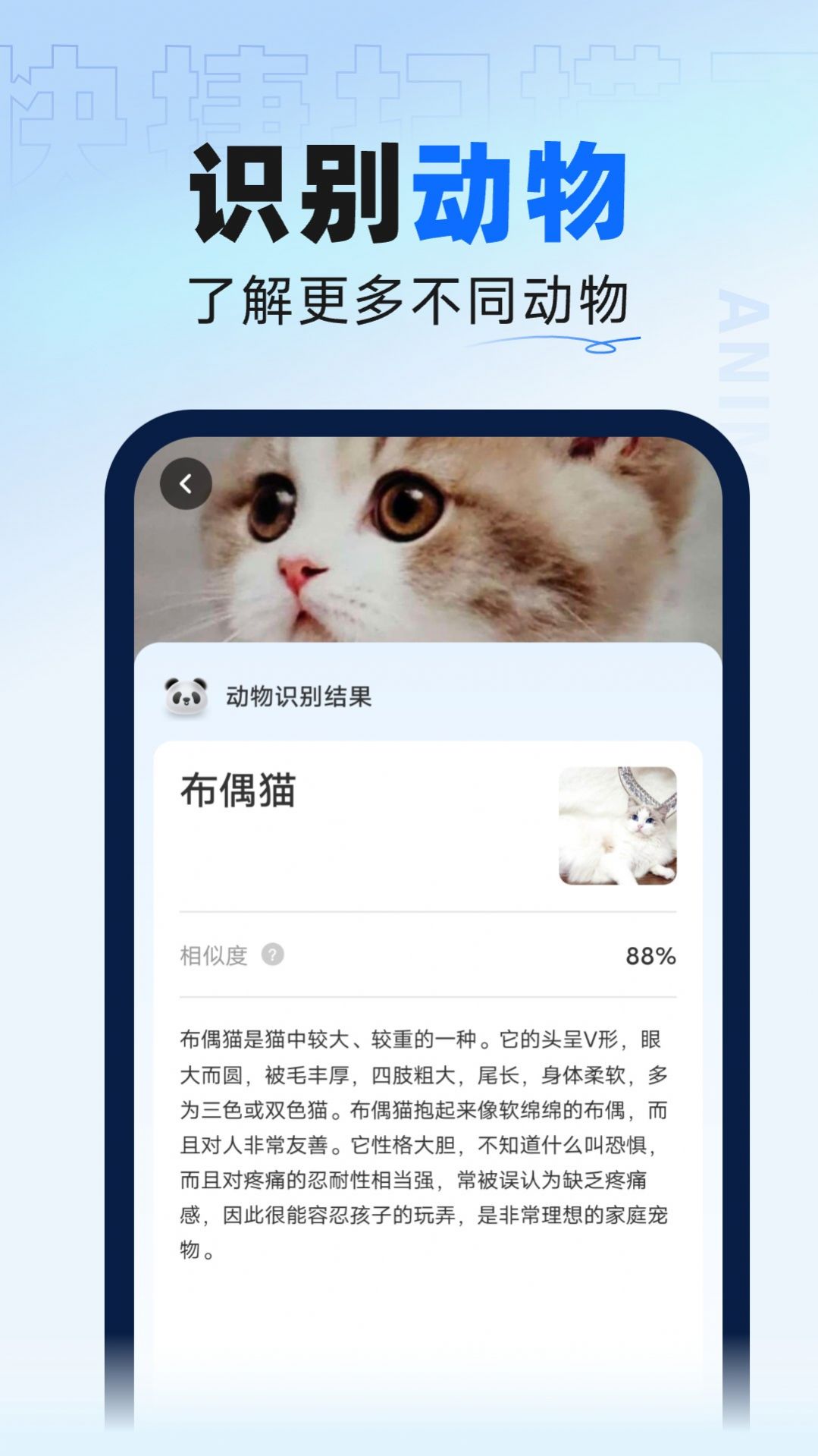 迅捷掃描大師