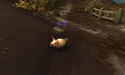 《魔獸世界》寵物帕菲獲取攻略