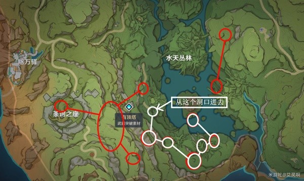 《原神》須彌蕈獸討伐路線一覽