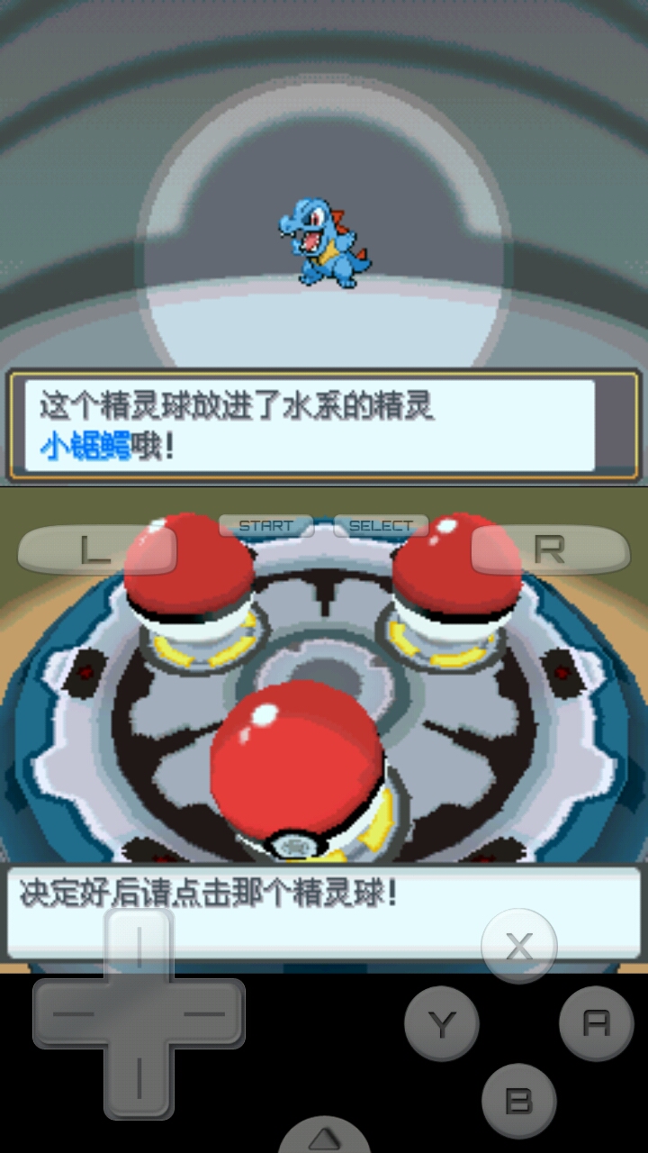 口袋妖怪啟示錄