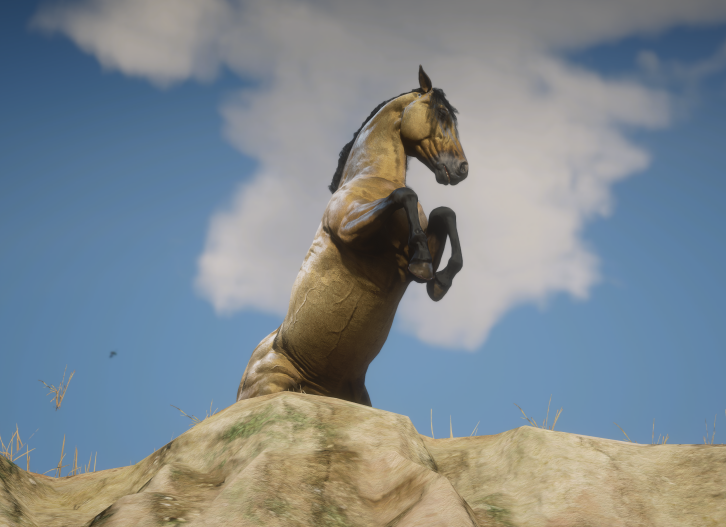 《荒野大鏢客2》Kiger Mustang替換虎紋野馬MOD