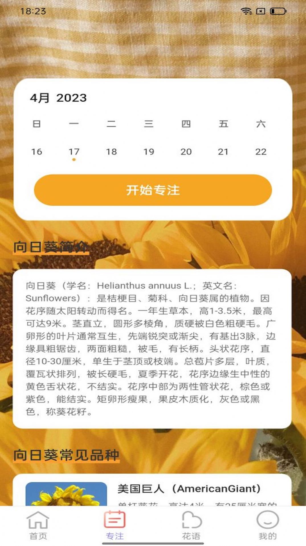 百花步數