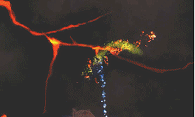 《魔獸世界》玩具熔巖之泉獲取攻略