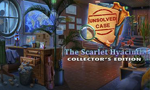 未解迷案3：猩紅風信子