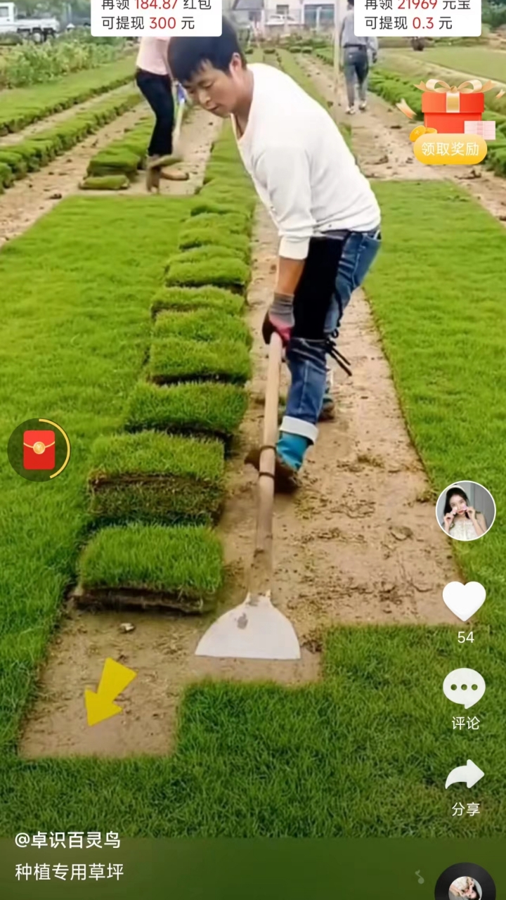 淘喜樂