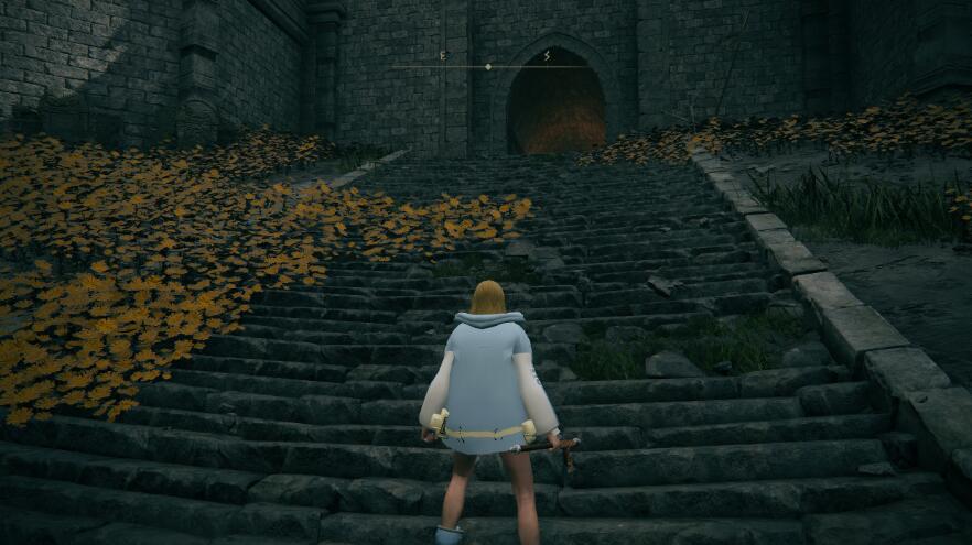 《艾爾登法環》罪惡裝備布里吉特服裝MOD
