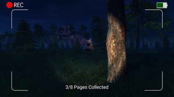 黑夜中的弗洛帕